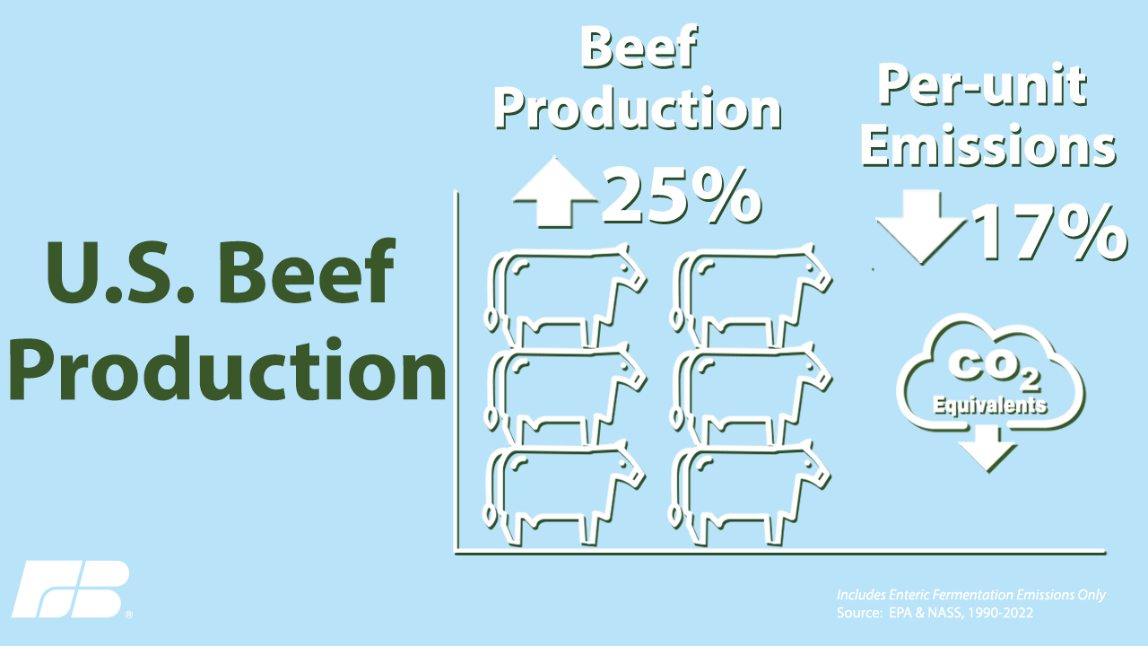 US Beef Production