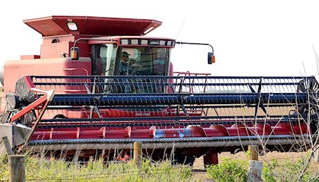 Behind the scenes of Iowa’s corn and soybean harvest