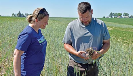 No two years are the same for cover crops