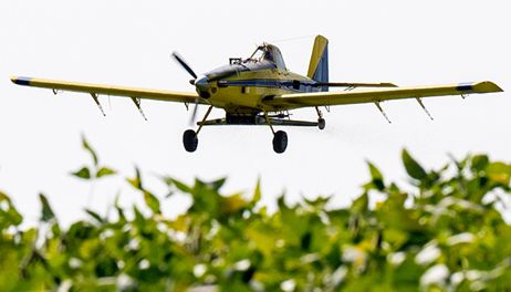 Planes are flying across Iowa to give cover crops an early start 