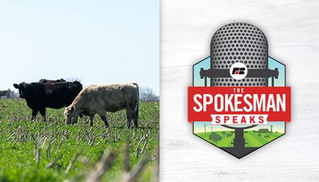 Can cover crops and manure application thrive together? | The Spokesman Speaks Podcast, Episode 114