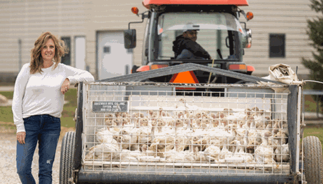HPAI creates challenges for Iowa turkey grower 