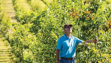 Conservation Counts Q&A