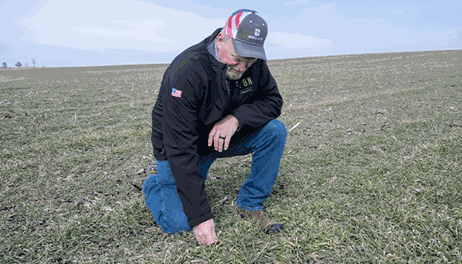 Conservation practices paying off in NE Iowa 