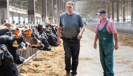 Meet Dutchland Dairy 