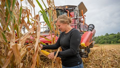 Dry conditions accelerate harvest plans 