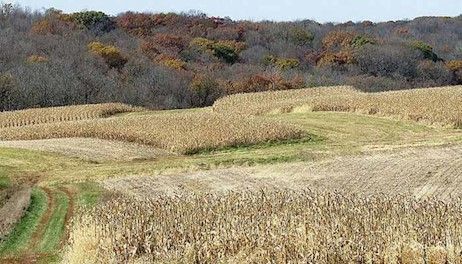 Conservation Counts in Johnson County