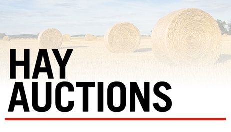 Hay Auctions 3-19-2025 