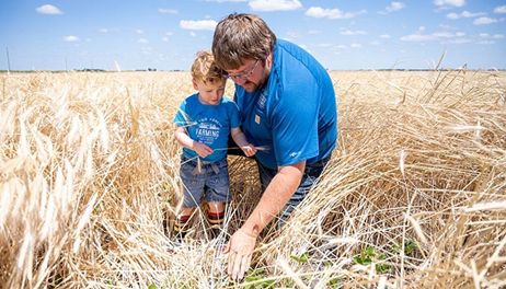 Farmers are going all in on conservation — That’s good news for your family and clean water