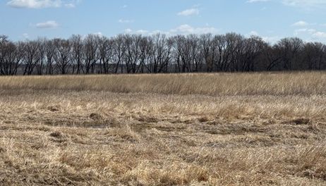 Playing the long game with conservation 