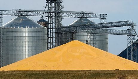 Grain Indemnity Fund overhaul advances through Iowa Senate 