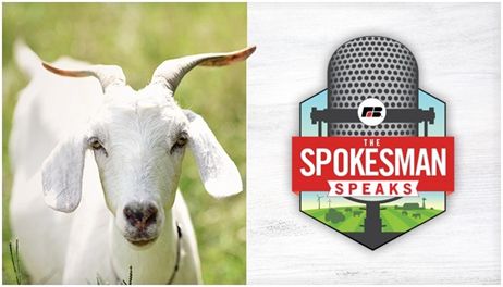 They raise what?! Kiko goats and other unique farming opportunities | The Spokesman Speaks Podcast, Episode 189