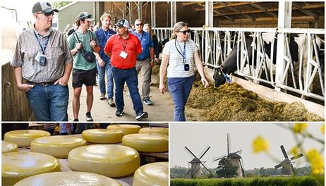 Regulations rattle Dutch farmers 
