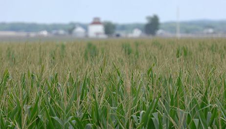 FSA acreage reporting deadline approaches 