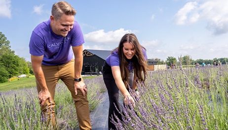 Fields of purple and promise 