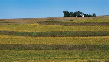 Conservation isn’t one-size-fits-all