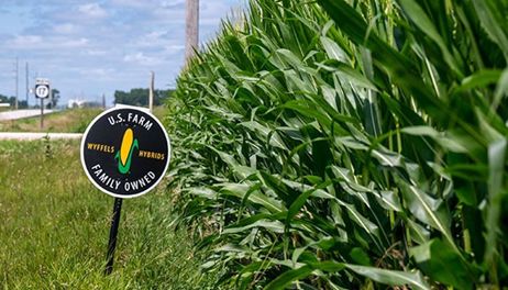 What those crop signs really mean on Iowa farms