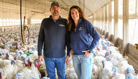 Starting from scratch 