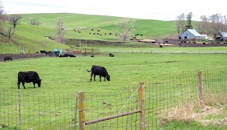 2025 in review: A challenging year for agriculture 