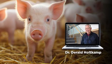 An Update on Porcine Reproductive and Respiratory Syndrome (PRRS) (Webinar)