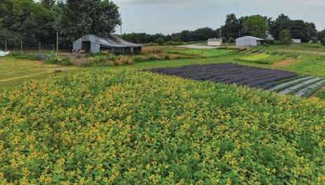 Acres of Opportunity conference explores new paths for farm income