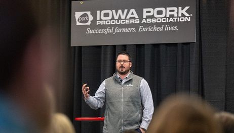Stable hog markets expected through 2026 