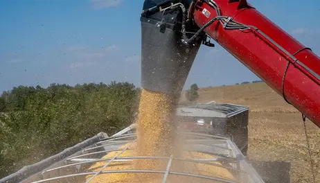 Enrollment period for Farmer Bridge payments now open 