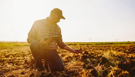 Should U.S. consider strategic fertilizer reserve?