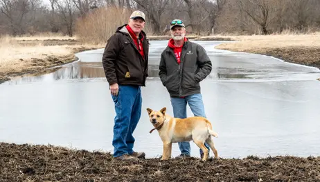 Brecht brothers witness wildlife revival 