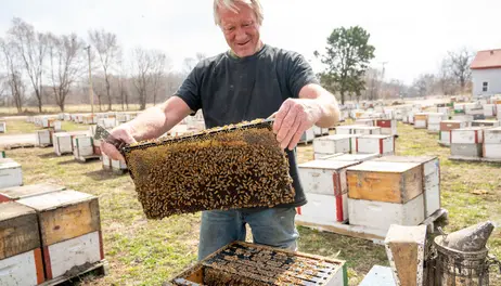 Sweet buzz at Spring Valley Honey Farms