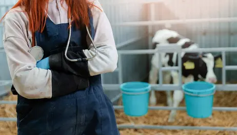 Iowa Farm Bureau supports future rural veterinarians through loan repayment program 