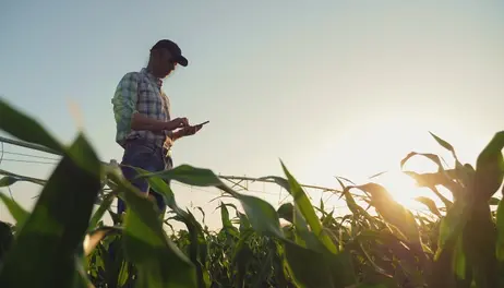 USDA allocating 30 million new base acres this summer 