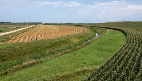 Midwest states surpass interim nitrogen reduction target for Gulf hypoxia 