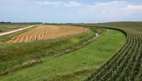 Midwest states surpass interim nitrogen reduction target for Gulf hypoxia 