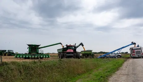 Rain Delays Iowa Harvest 