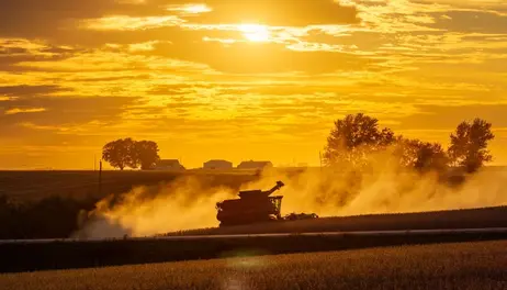 Harvest Reaches Midpoint 