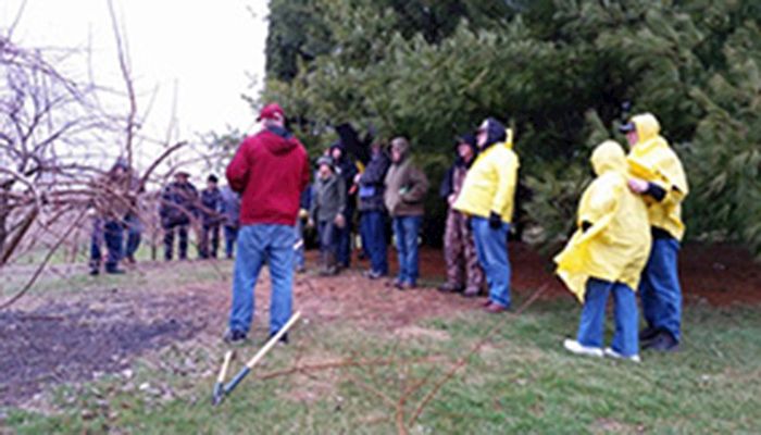 Fruit tree pruning workshop held