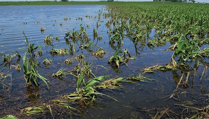 Could farming in western Iowa require a permit?