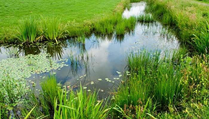 Conservation tour highlights practices in Linn County 