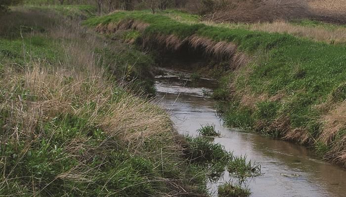 Conservation gains look good from a bike seat 