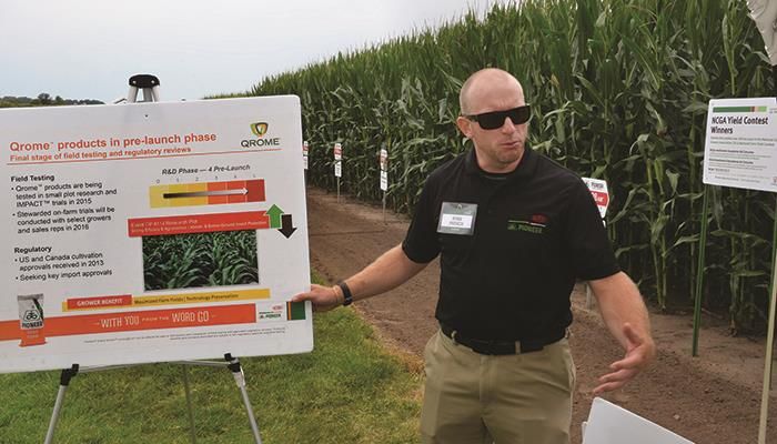 Pioneer moves forward with new Qrome rootworm hybrid