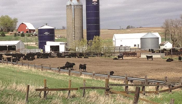 Iowa women see value in speaking out for agriculture