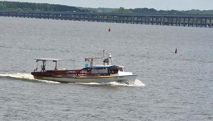 Farmers say Iowa volunteer plan superior to Chesapeake Bay program