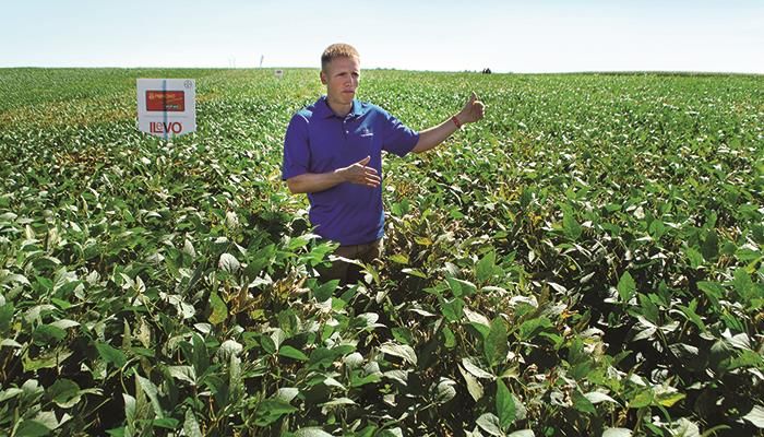 Seed treatment proving its value as SDS hits soybean fields