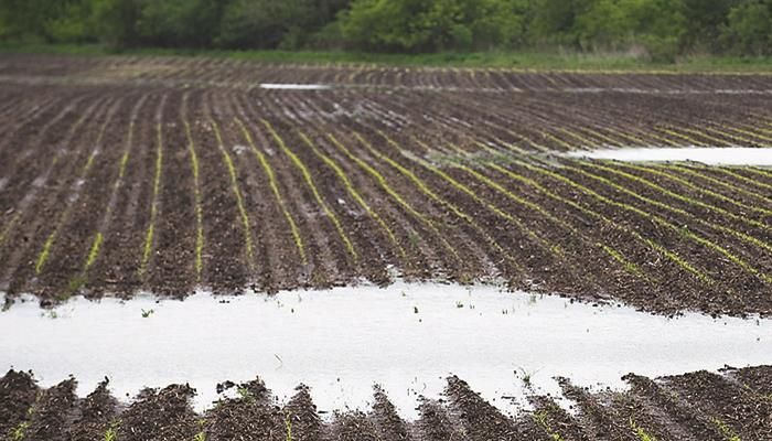 Farm Bureau using courts, legislation to fight WOTUS