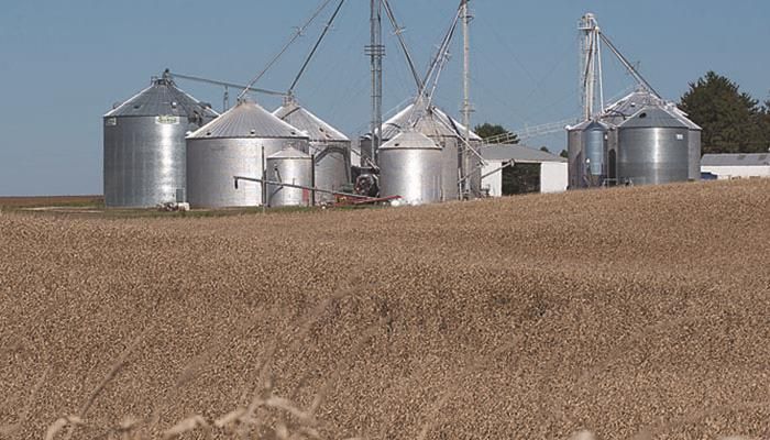Take time now to prepare for successful grain storage