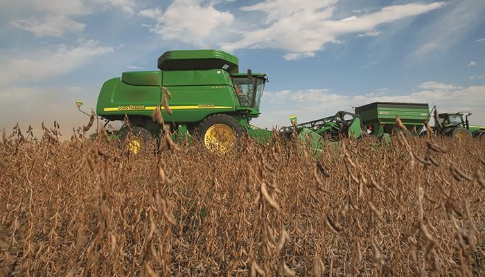 Crop report trims corn harvest, but boosts beans