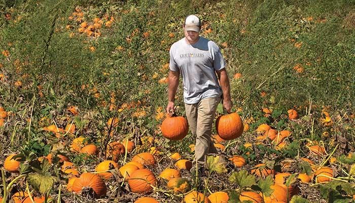 Matt Kroul has found a lot of parallels between football and farming after returning to his family’s eastern Iowa farm, where they raise pumpkins and vegetables along with traditional row crops and cattle.  PHOTO/GARY FANDEL