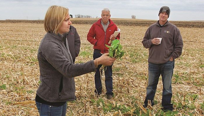 Cover crops can yield economic gains for farmers
