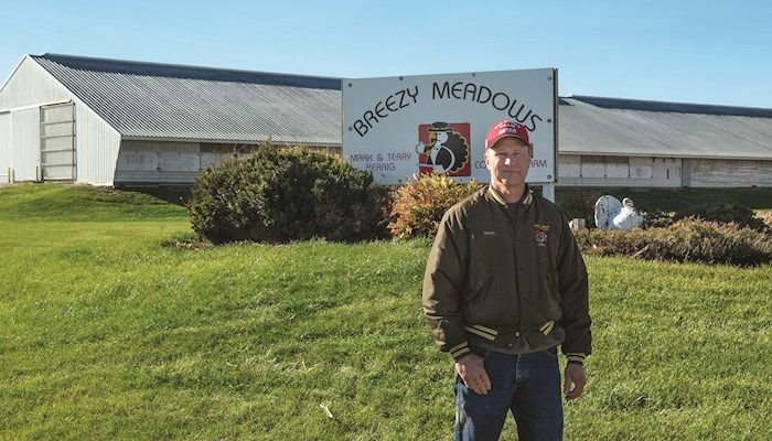 Iowa turkey farmer is thankful to have barns full again